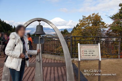 箱根、富士山、紅葉